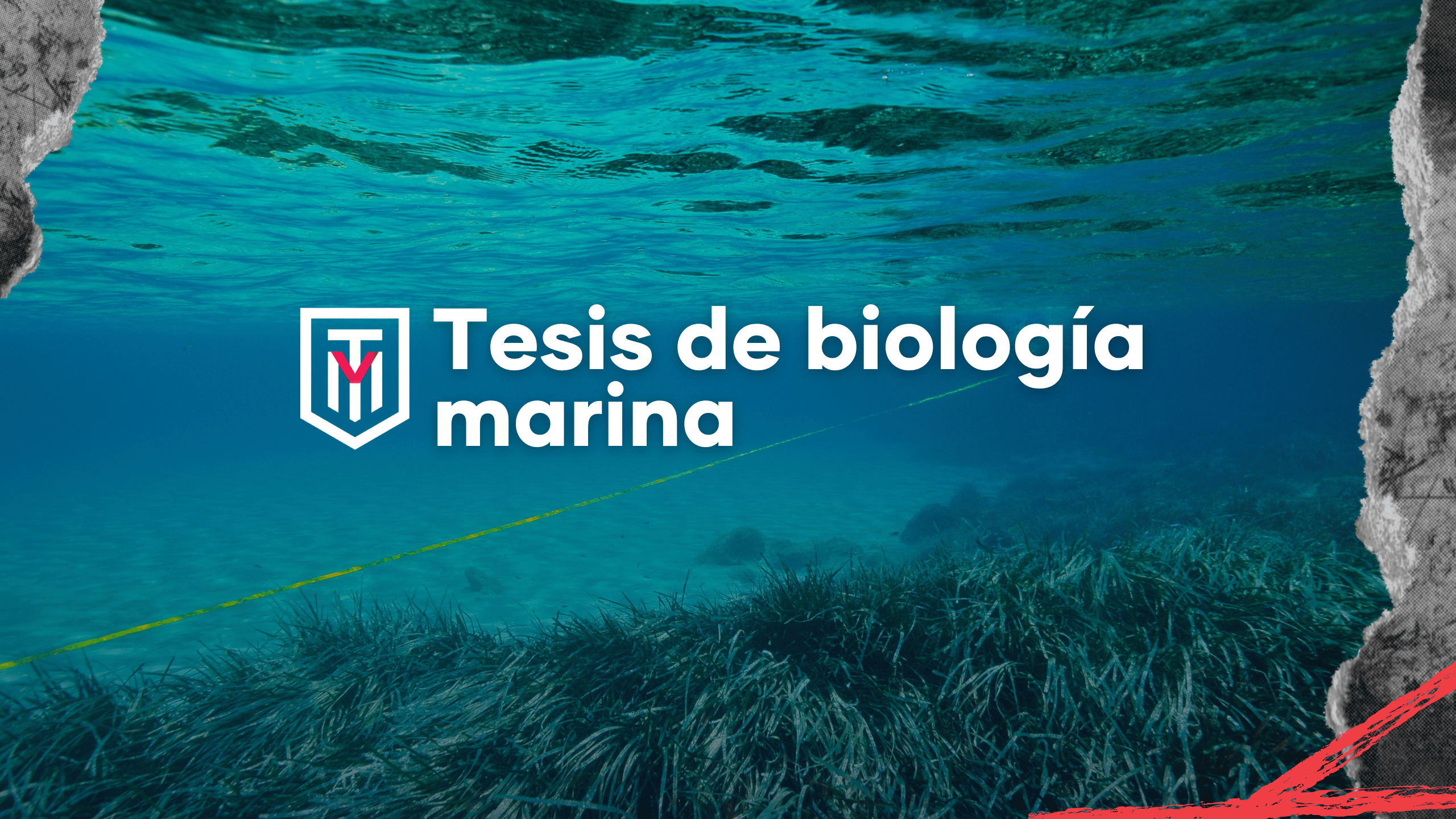 Biología marina Chile